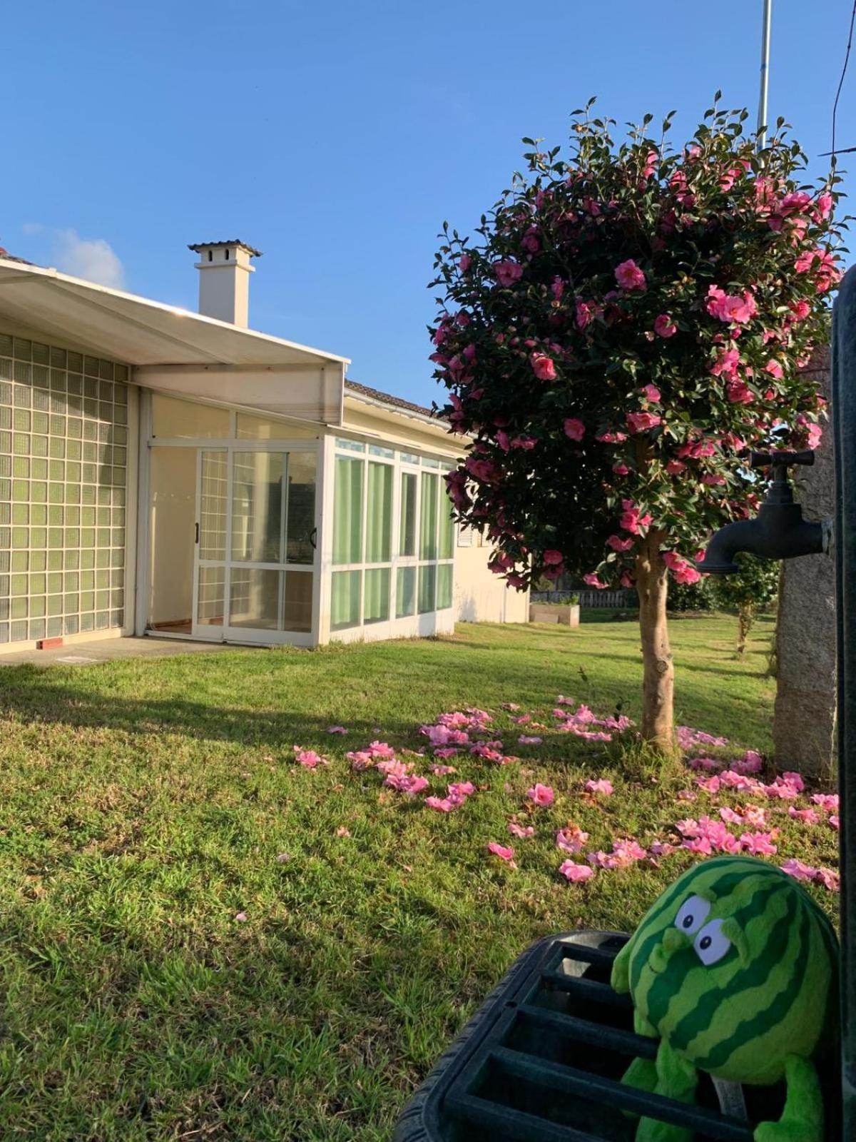La Maison D'Abelleira Ponteareas Esterno foto