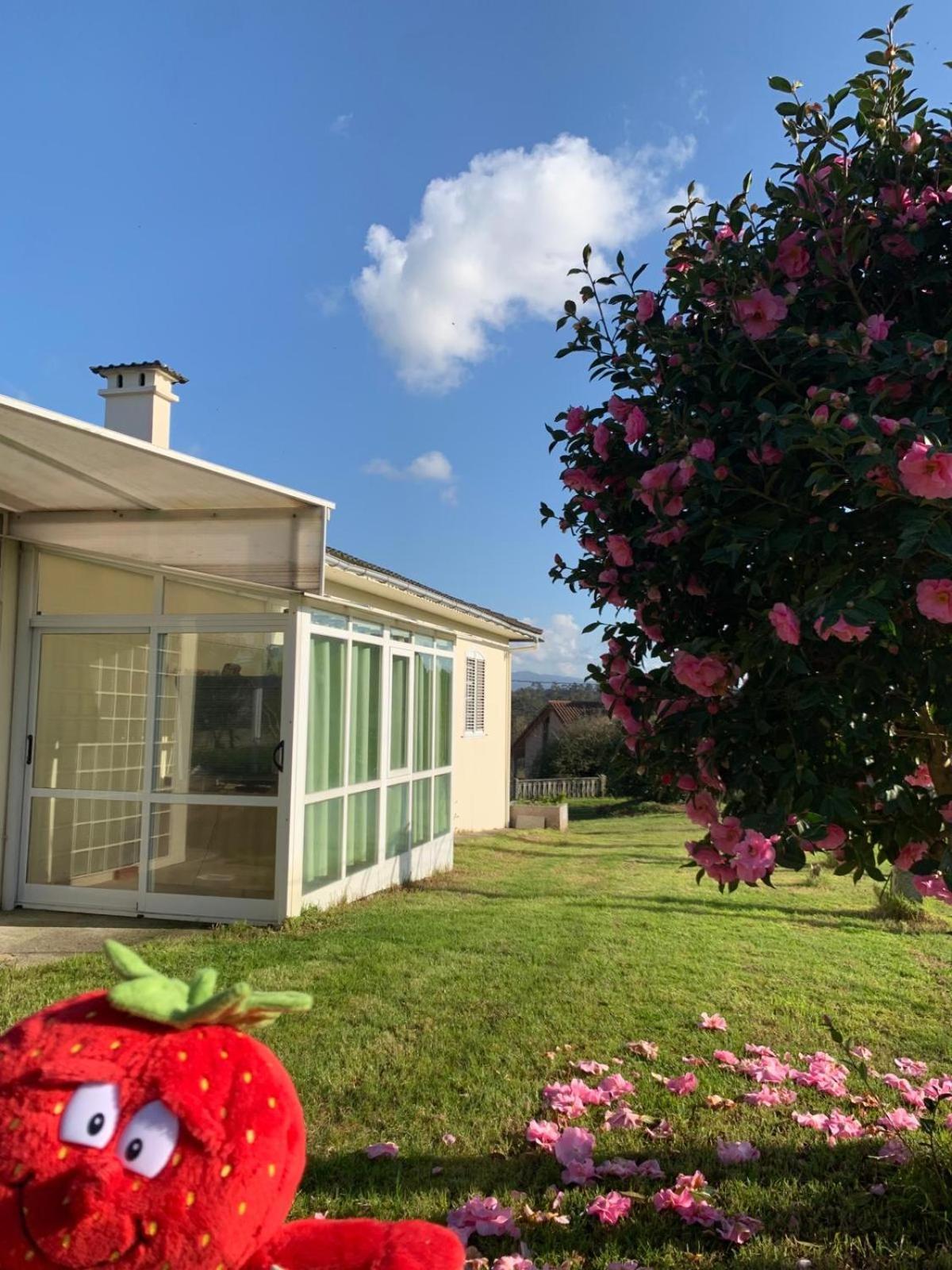 La Maison D'Abelleira Ponteareas Esterno foto